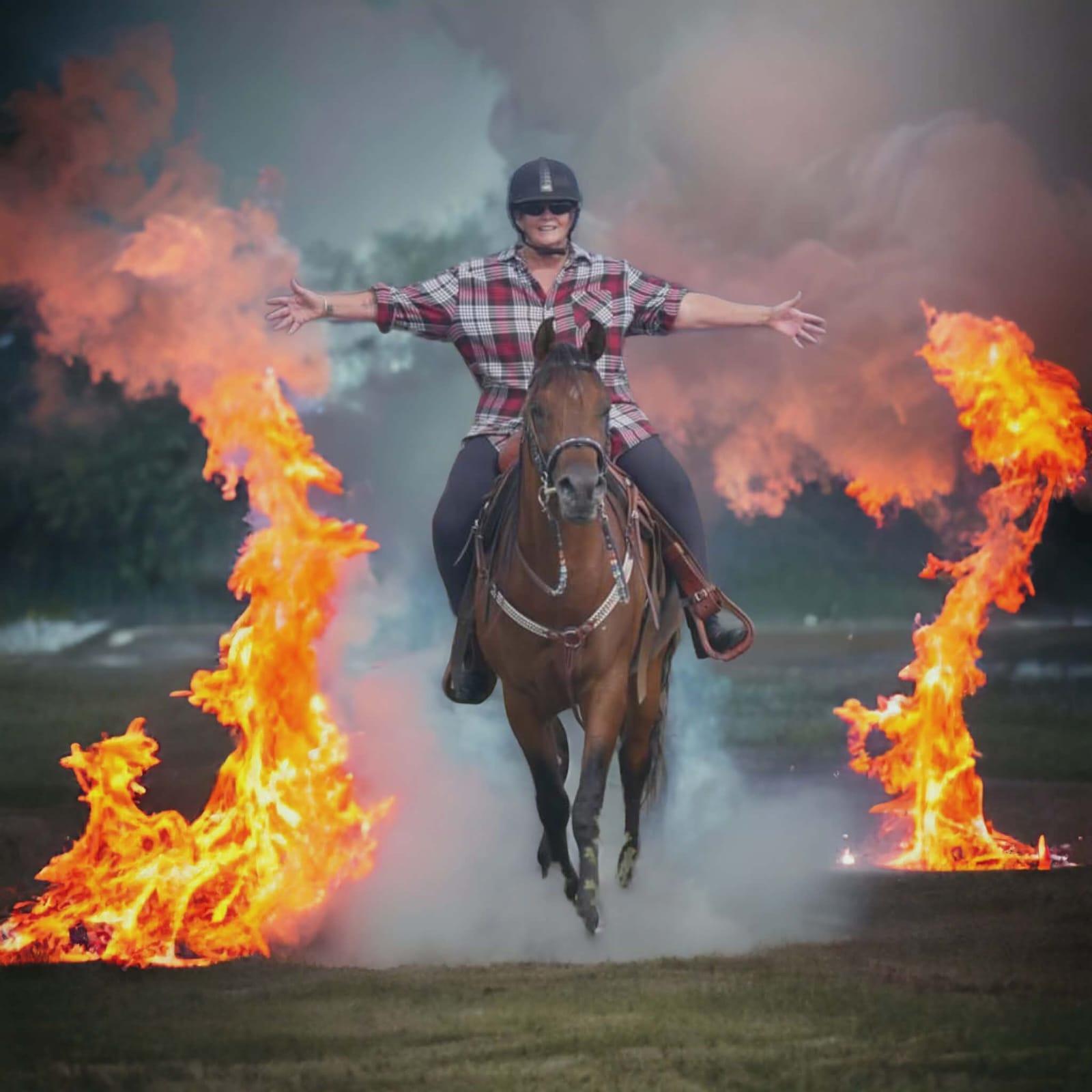 Year of the Horse Show